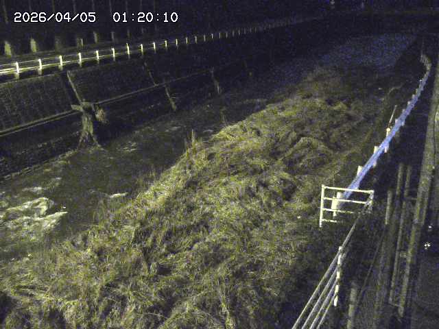 土師川１2026/04/05 3:30:00