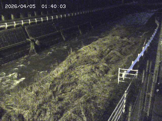 土師川１2026/04/05 3:30:00