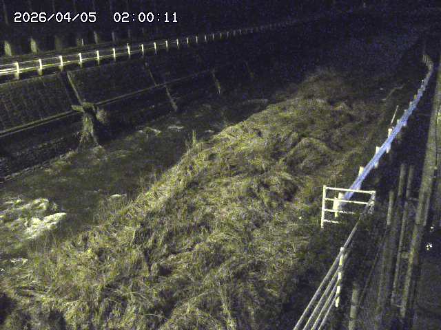 土師川１2026/04/05 3:30:00