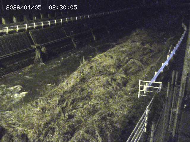 土師川１2026/04/05 3:30:00