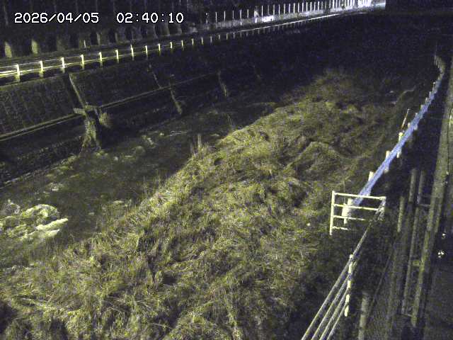 土師川１2026/04/05 3:30:00