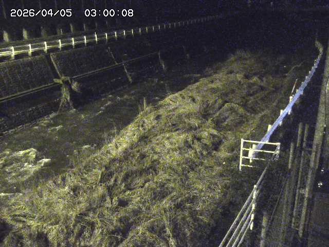 土師川１2026/04/05 3:30:00