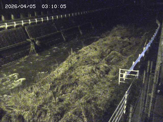 土師川１2026/04/05 3:30:00