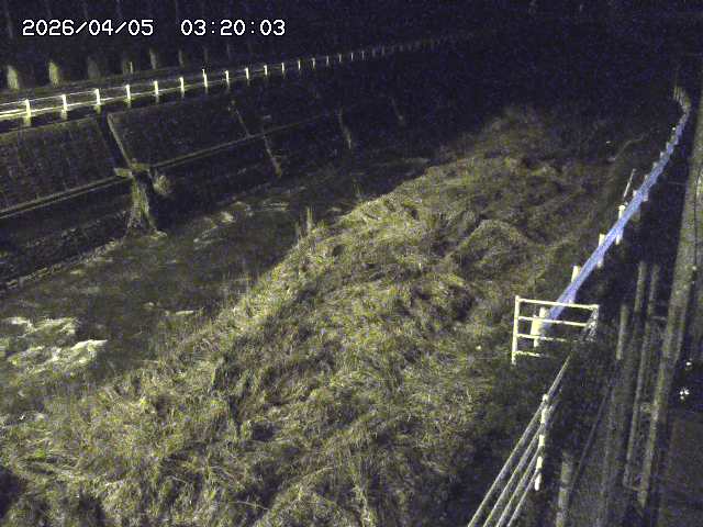 土師川１2026/04/05 3:30:00