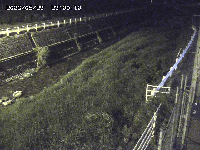 土師川１2026/05/30 3:30:00