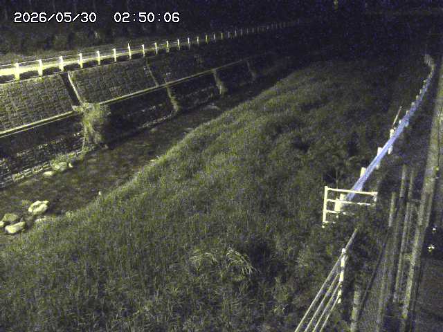 土師川１2026/05/30 3:30:00