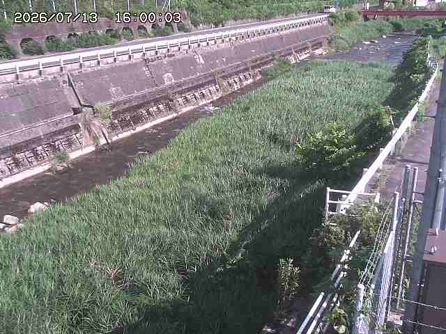 土師川１2026/07/14 15:20:00