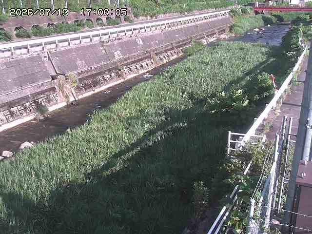 土師川１2026/07/14 15:20:00