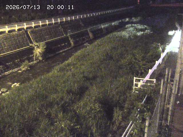 土師川１2026/07/14 15:20:00