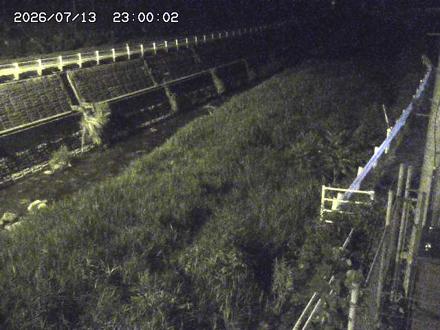 土師川１2026/07/14 15:20:00