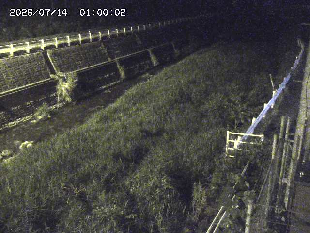 土師川１2026/07/14 15:20:00