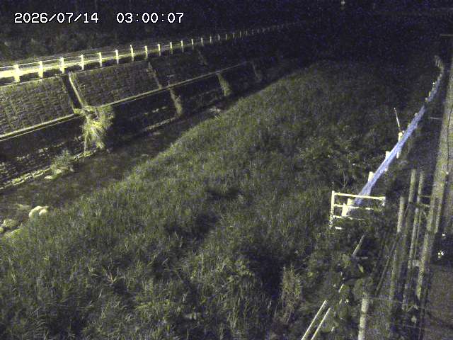 土師川１2026/07/14 15:20:00