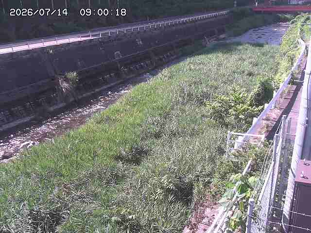 土師川１2026/07/14 15:20:00