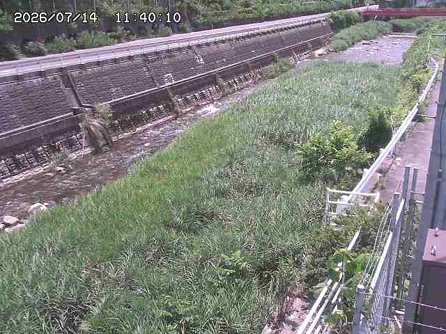土師川１2026/07/14 15:20:00