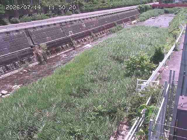 土師川１2026/07/14 15:20:00