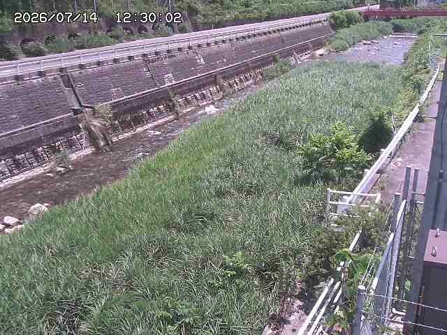 土師川１2026/07/14 15:20:00
