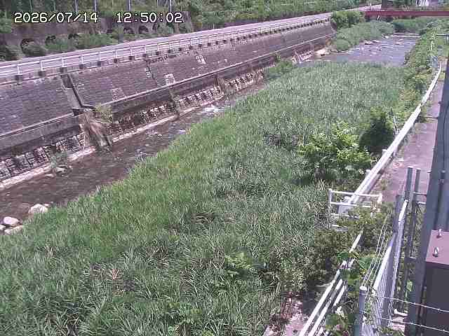 土師川１2026/07/14 15:20:00