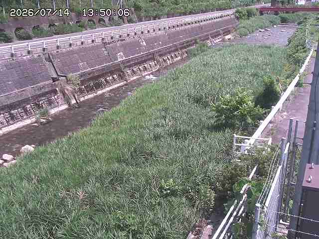土師川１2026/07/14 15:20:00