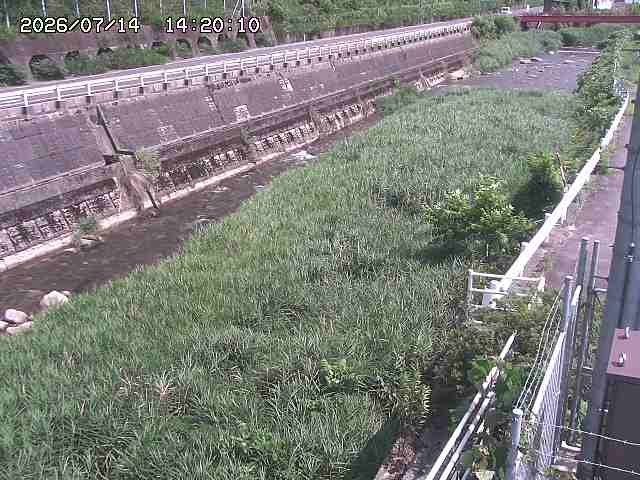 土師川１2026/07/14 15:20:00