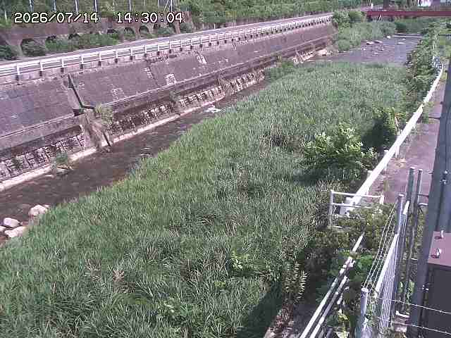 土師川１2026/07/14 15:20:00