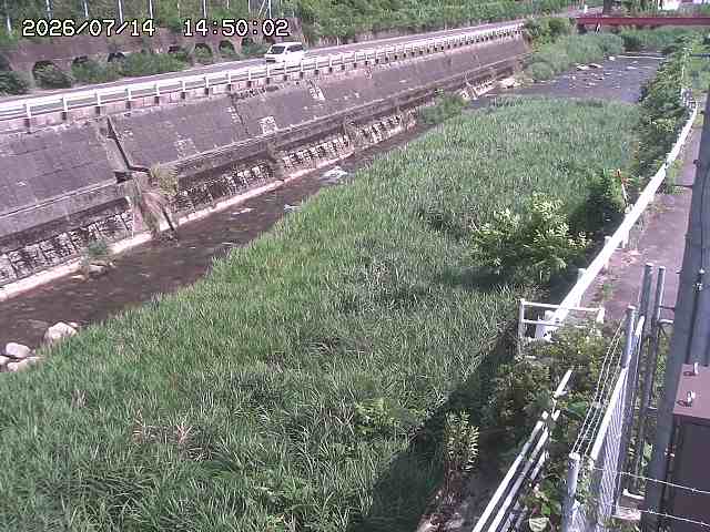 土師川１2026/07/14 15:20:00