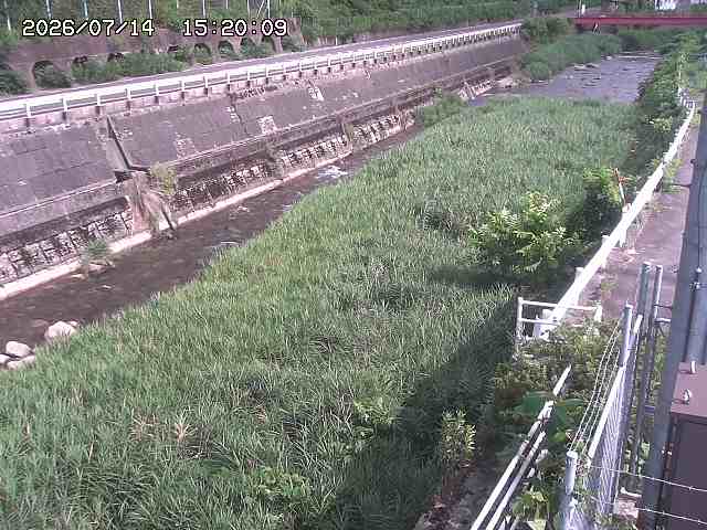 土師川１2026/07/14 15:20:00