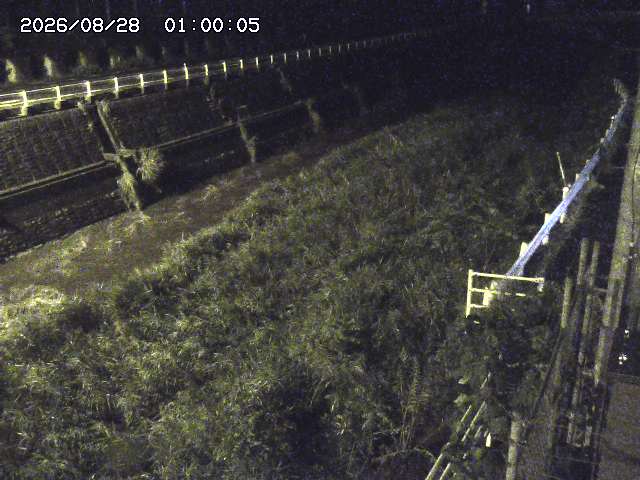 土師川１2026/08/28 17:00:00