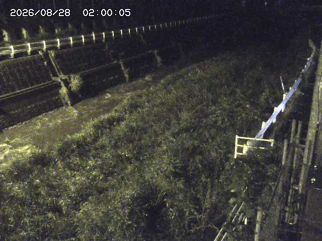 土師川１2026/08/28 17:00:00