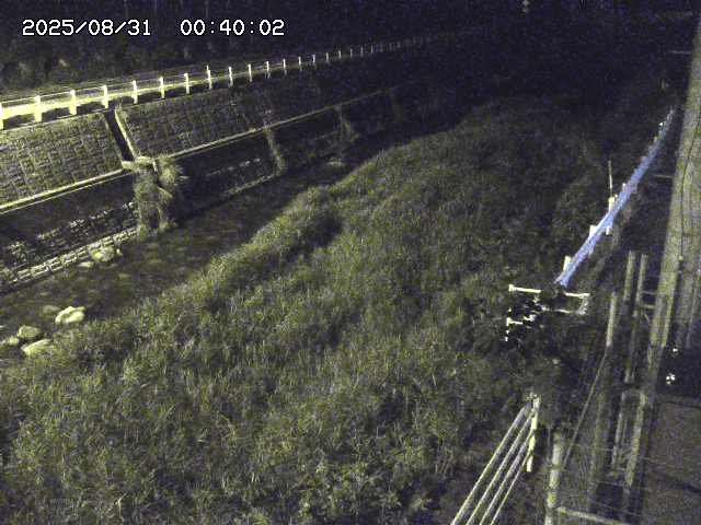 土師川１2025/08/31 1:00:00