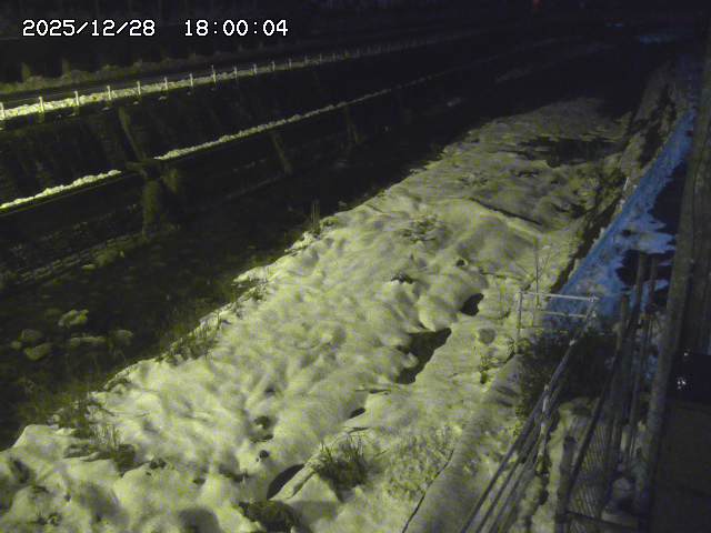 土師川１2025/12/29 9:50:00