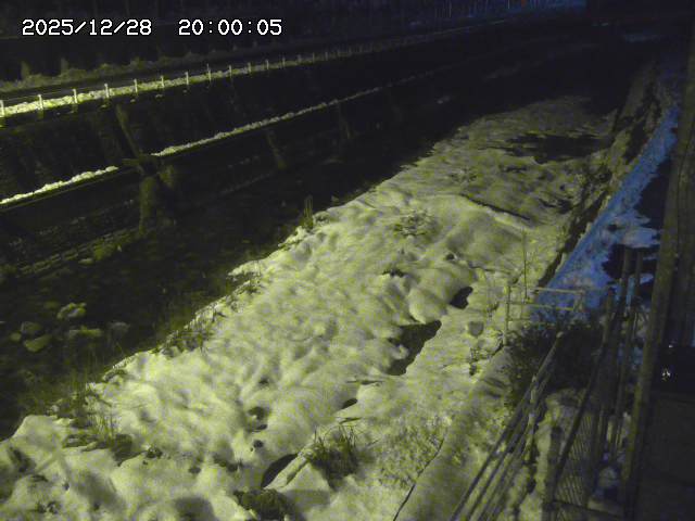 土師川１2025/12/29 9:50:00