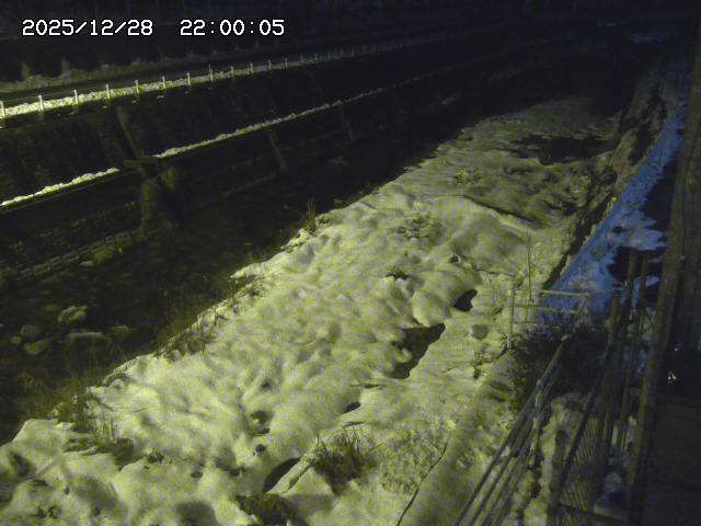 土師川１2025/12/29 9:50:00