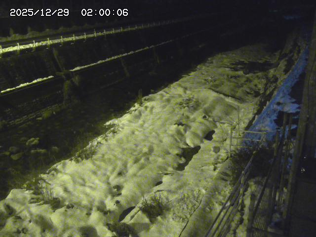 土師川１2025/12/29 9:50:00