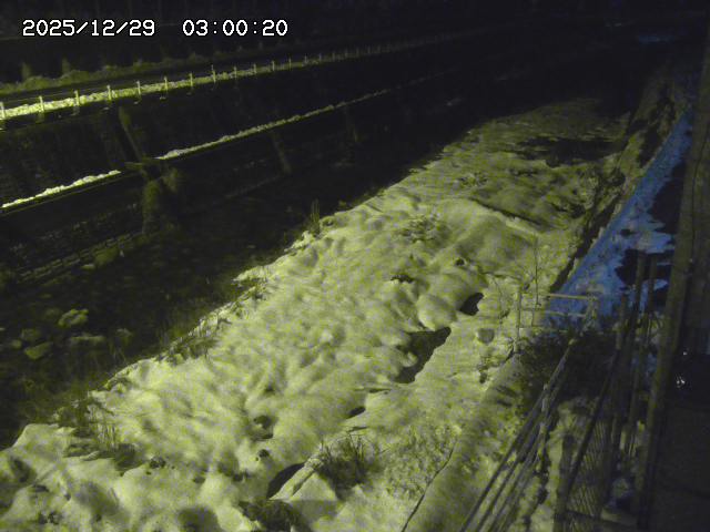 土師川１2025/12/29 9:50:00