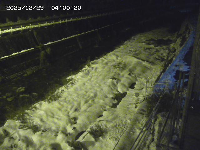 土師川１2025/12/29 9:50:00