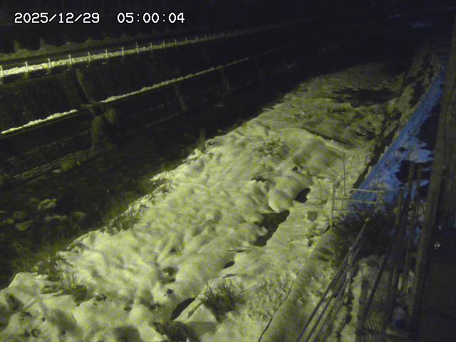 土師川１2025/12/29 9:50:00