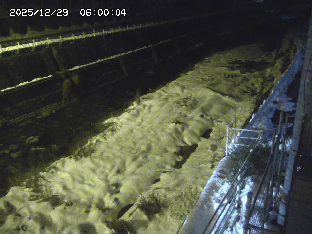 土師川１2025/12/29 9:50:00