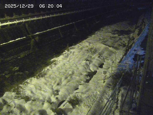 土師川１2025/12/29 9:50:00