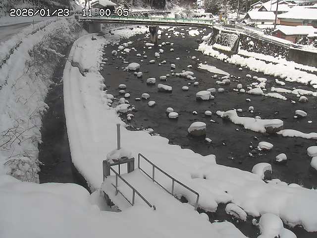 佐治川１１2026/01/24 2:30:00