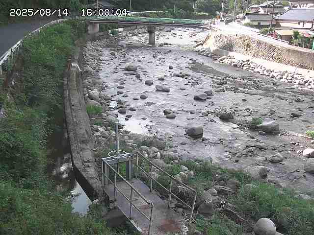 佐治川１１2025/08/15 15:40:00