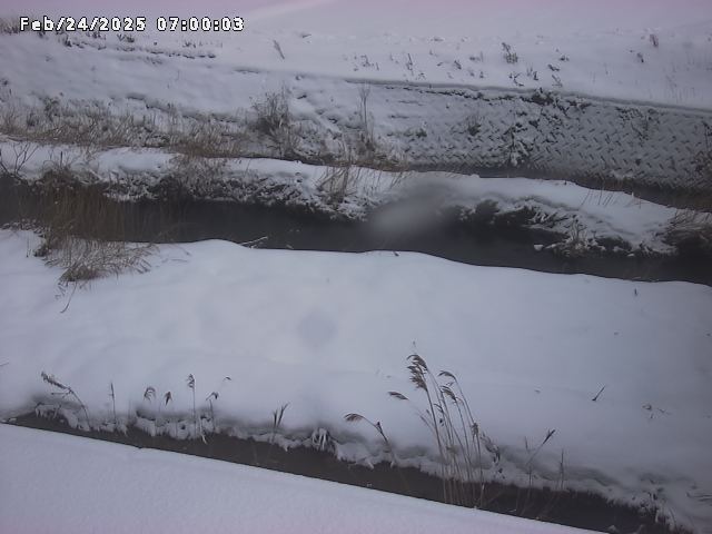 名和川１2026/02/25 2:40:00