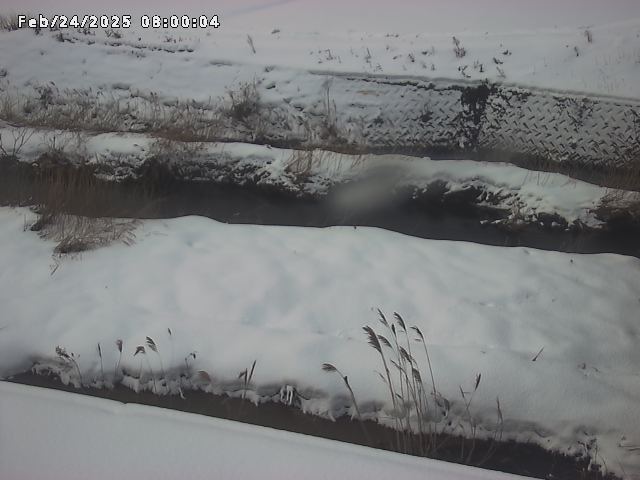 名和川１2026/02/25 2:40:00