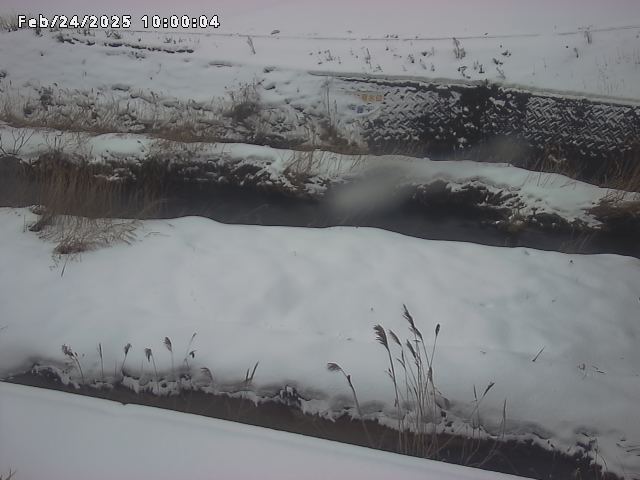 名和川１2026/02/25 2:40:00