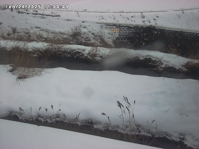 名和川１2026/02/25 2:40:00