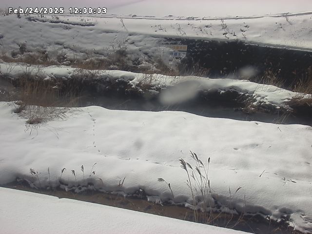 名和川１2026/02/25 2:40:00