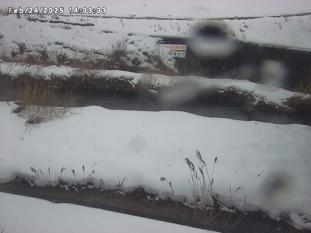 名和川１2026/02/25 2:40:00