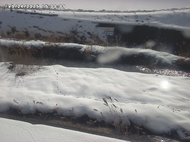 名和川１2026/02/25 2:40:00