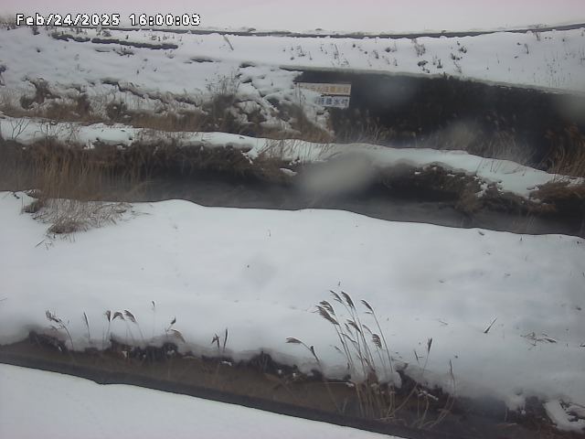 名和川１2026/02/25 2:40:00