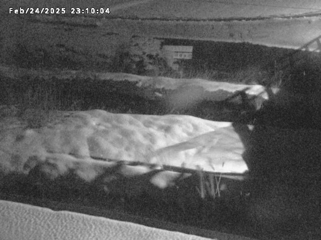 名和川１2026/02/25 2:40:00