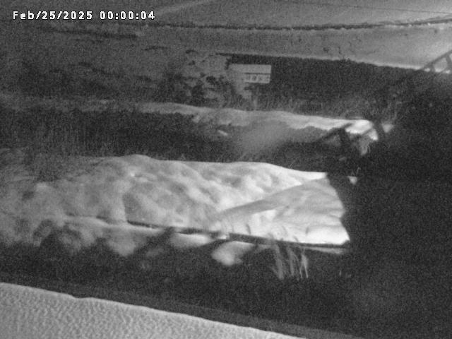 名和川１2026/02/25 2:40:00